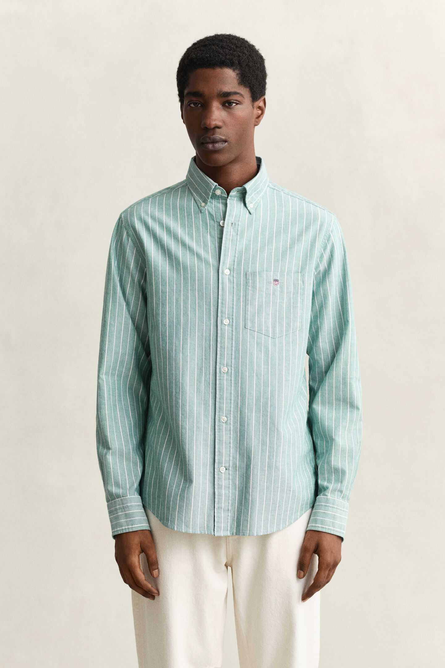Camisa Oxford cl&aacute;sica a rayas